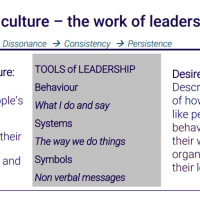 The Systems Leadership culture change model