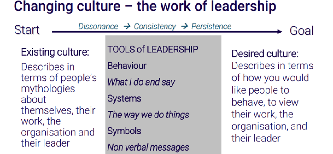 The Systems Leadership culture change model